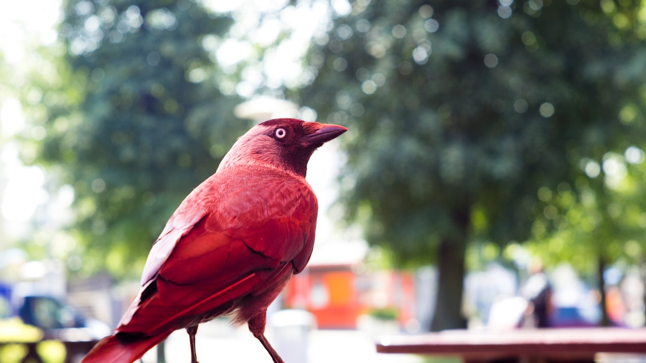 What is a touch screen table?